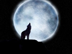 wolf_by_Yorvig.jpg