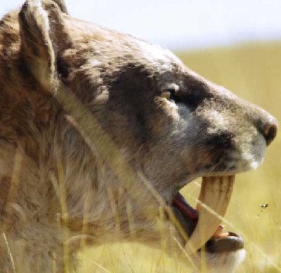 smilodon_bbc2.jpg